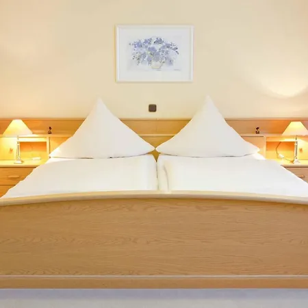 Hotell Birkenstern 3*
