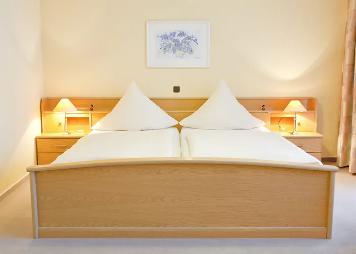 Hotel Birkenstern 3*