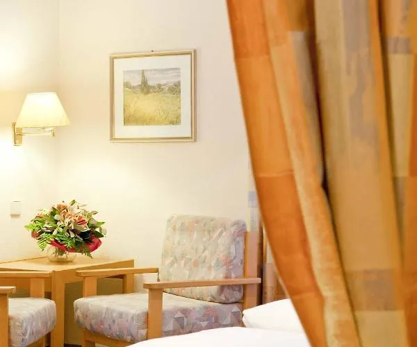 Hotel Birkenstern Bad Wildungen